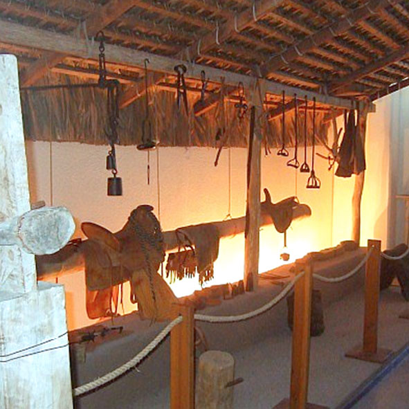 Visitar el Museo de Antropología de La Paz – LA PAZ, MUSEOS